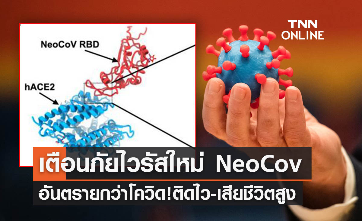 นักวิทย์จีนเตือนพบไวรัสสายพันธุ์ใหม่ NeoCov อันตรายกว่าโควิด-19 
