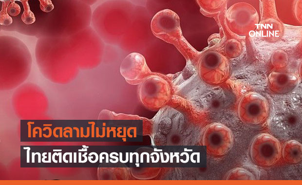 ไทยน่าห่วงติดเชื้อโควิดครบทุกจังหวัด ระบาดเร็วไปทั่วแทบทุกกลุ่มประชากร