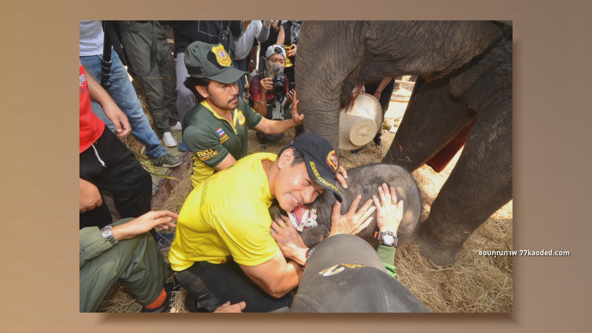 “บิณฑ์ - เอกพันธ์” ควักเงิน 3 แสน ช่วยช้างไทยที่อยุธยา (มีคลิป)