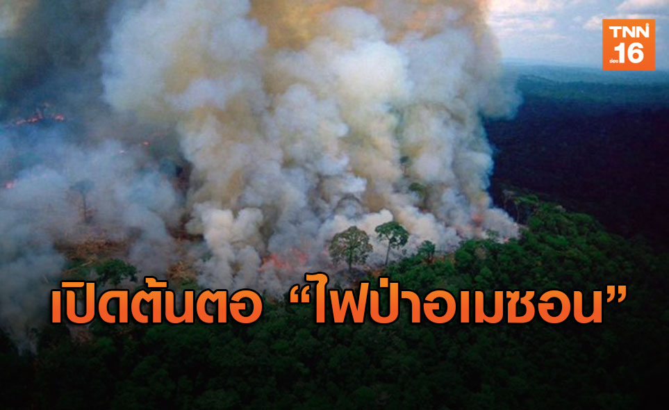 เปิดสาเหตุ ไฟป่าอเมซอน ปอดสำคัญของโลกที่กำลังถูกทำลาย