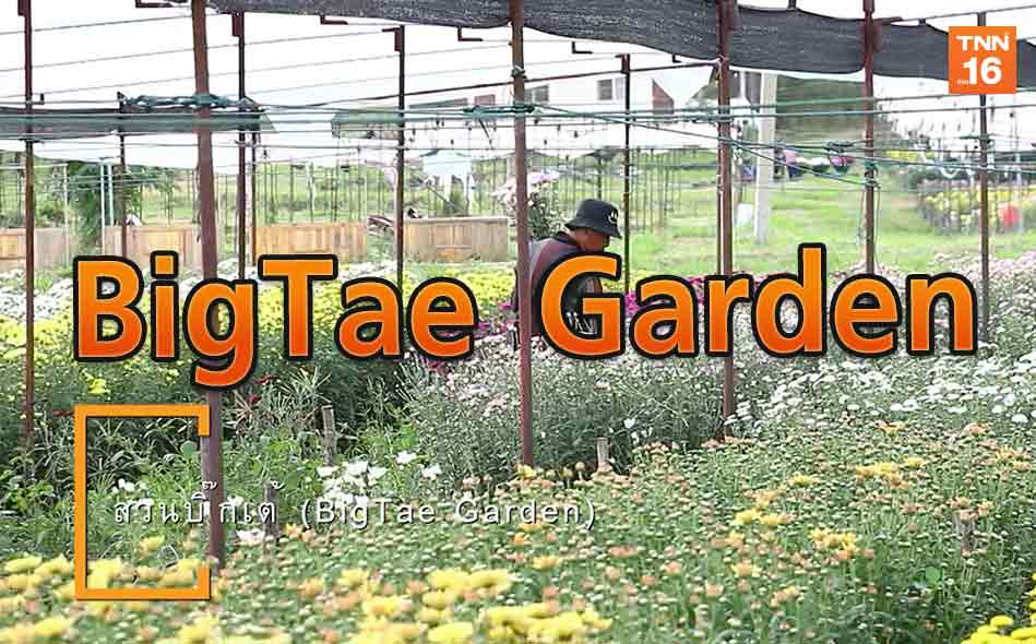 สวนบิ๊กเต้ BigTae Garden | 30 พ.ย.62 | เที่ยวเป็น (คลิป)