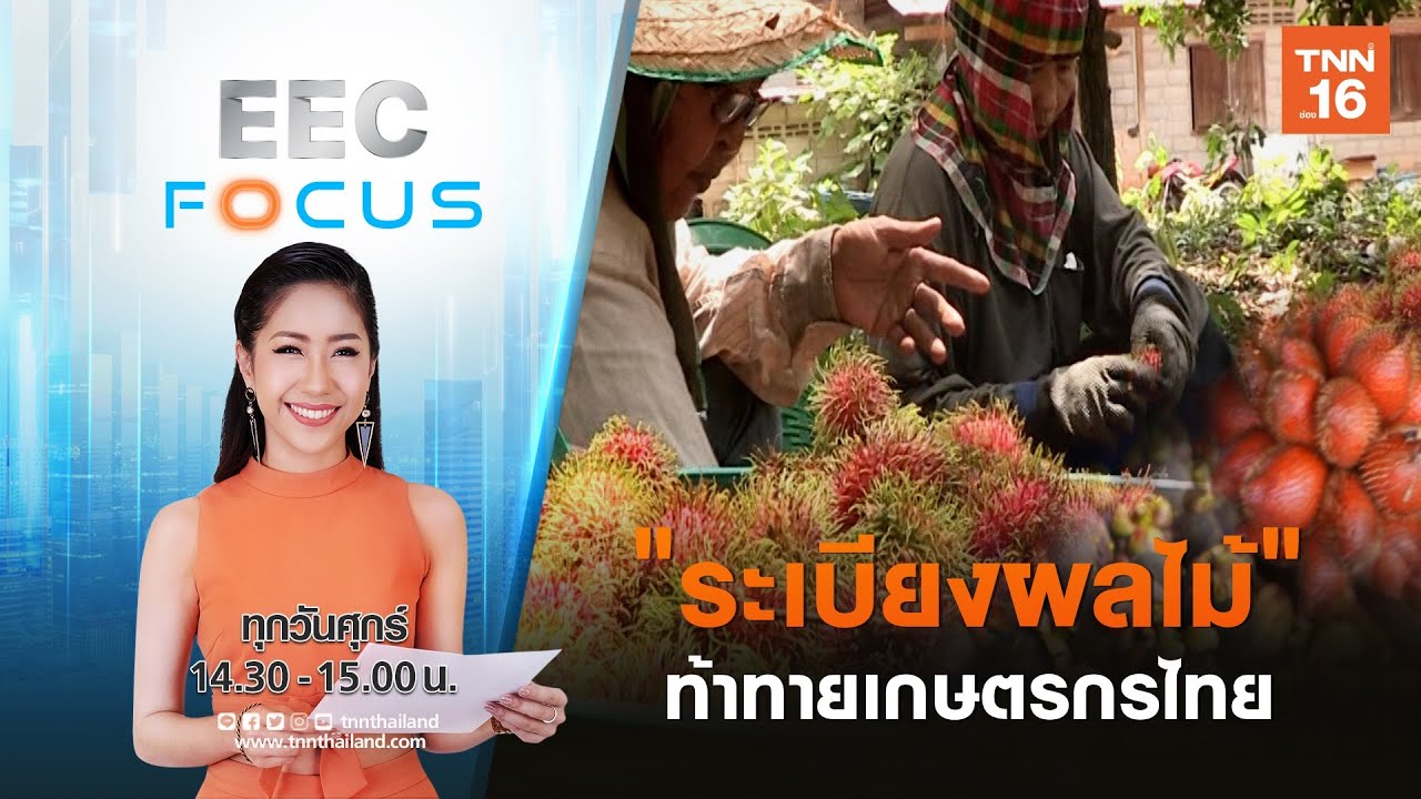 ระเบียงผลไม้ ท้าทายเกษตรกรไทย I EEC FOCUS I 12-06-63 (คลิป)