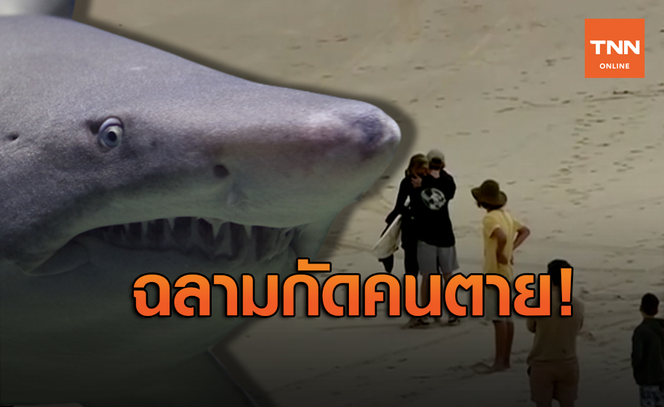 สั่งปิดหาด! ฉลามออสเตรเลียกัดวัยรุ่นเสียชีวิต