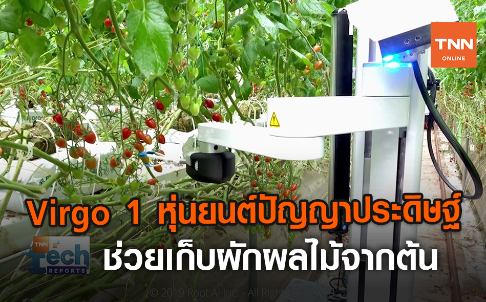 Virgo 1 หุ่นยนต์ปัญญาประดิษฐ์ ช่วยเก็บผักผลไม้จากต้น | TNN Tech Reports | 17 ส.ค. 63 (คลิป)