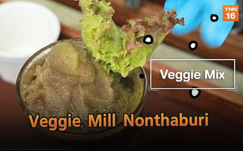 Veggie Mill Nonthaburi | The Destination (คลิป)