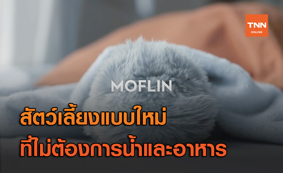 เพื่อนคลายเหงายุคใหม่ กับ ‘Moflin’ สัตว์เลี้ยงเอไอสุดน่ารัก!