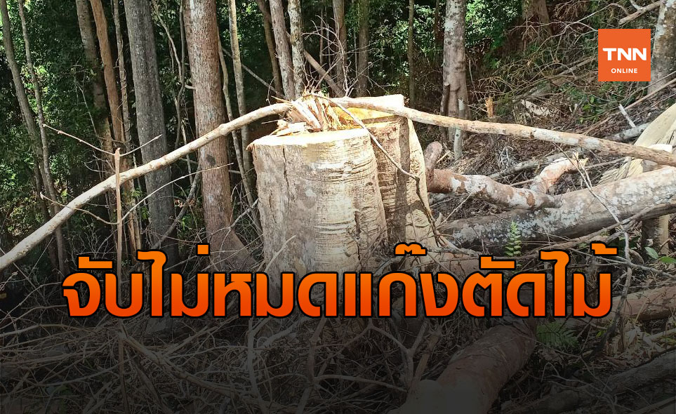 จับไม่หมด! ทำลายป่าเทือกเขาสันกาลาคีรี ชายแดนไทย-มาเลเซีย