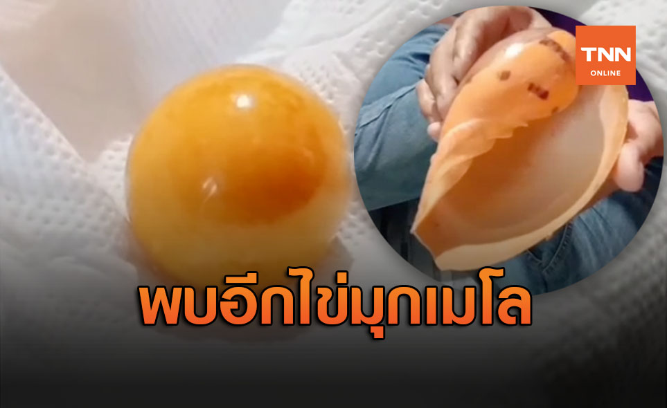 หนุ่มชลบุรีสุดเฮง ซื้อหอยให้ภรรยากินเจอ ‘ไข่มุกเมโล’ ราคาหลักล้าน