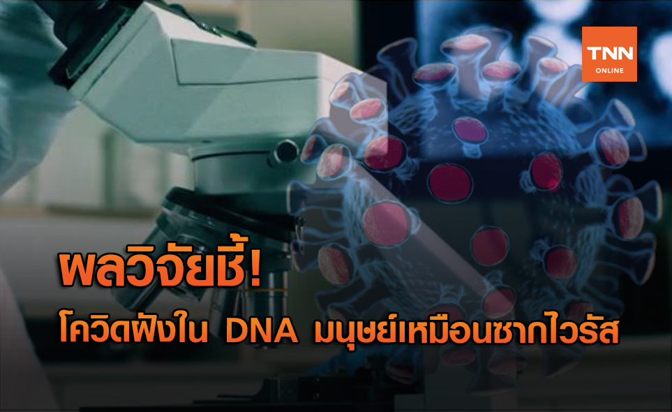 ผลวิจัยชี้ โควิด-19 ฝังใน DNA มนุษย์ เหมือนซากเชื้อไวรัส